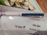11 дпо., тест отрицательный(((