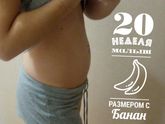 20 недель 💕
