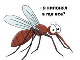 Фотография 2020-04-03 15:43:25