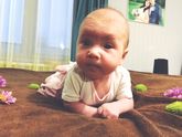Вчера нам исполнилось 2