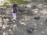 Прогулки