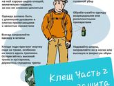 Клещи.