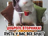 Доброе утро 💋💋💋.