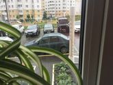 Вот что у нас творится сейчас!!!!