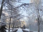 Улитки, устрицы, послабление карантина и ТЗ Времена года Зима.
