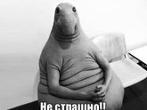 Ну чтож...история