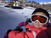 Семья в полном составе и собака каталсь на горных лыжах)