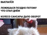 Так и живем)