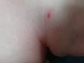 Вчера приехали на дачу,