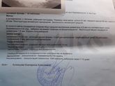 Первое узи