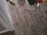 Утро выходного дня...