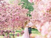 Фотосессия в цветущих садах?