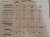 Забрала анализы, кот возможно будет жить)