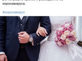 Ах эта "свадьба"! ??