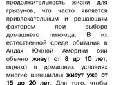 У кого-нибудь есть дома