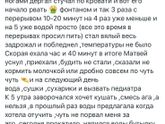 Что это в итоге такое ?переел?отравился ?или ротовирус?(