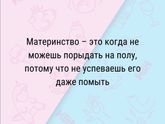 Весёлые картинки подъехали ?