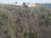 Клещь