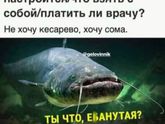 Смежно ж