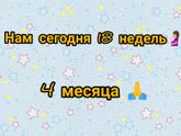 18 недель 🤰