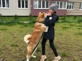 Подросла наша Маэми☺️