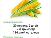 Завтра 21 нелелька нам))