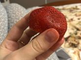 Вчера купила пакет клубники,