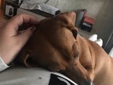 Фото и немного о нас)