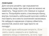 чешуйницы! Как от них избавиться!