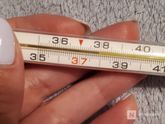 🤒Заболела после переноса эмбриона (часть 3)🤒