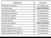 Половые инфекции и все такое