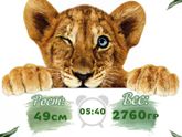 Метрика от 35 до 70 рублей 😇