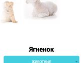 14 неделек ❤