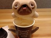 Вся семья дома. Чем заняться?