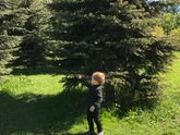У нас такая чикааарная