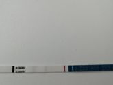 24 дц из 28 эвик, хотя они испортились стали часто врать и реагентить