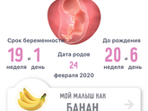 19 недель?