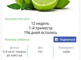 *нам 12 недель, у