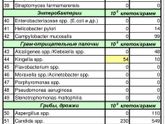 Подскажите, пожалуйста, кто нибудь