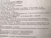 После овуляции не видно ЖТ