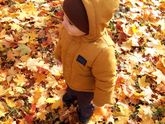 Осень золотая! 🍁