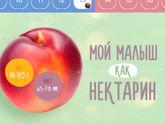Началась 13-я неделя...