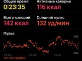 29.08 силовая ягодицы