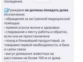 Наш французский карантин. И учёба детей.
