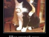 Девочки, кто уже на диете?