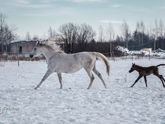 Агрессивность в беременность