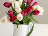 🌷
