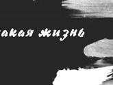 Фотография 2020-03-22 11:48:05
