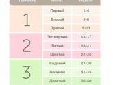 Ну вот он и наступил, третий триместр