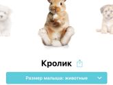 Доброе утро ☀️